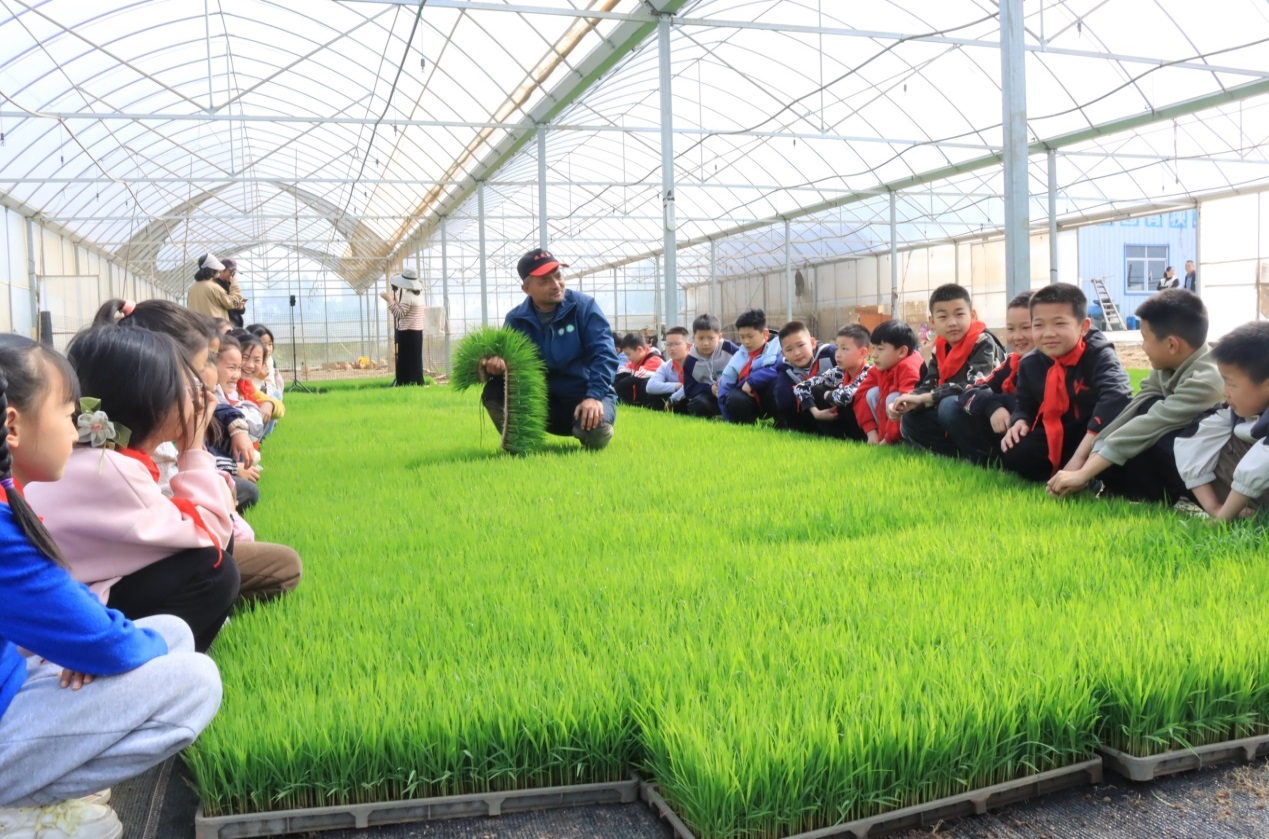 1776254814656472.png 图片1.png