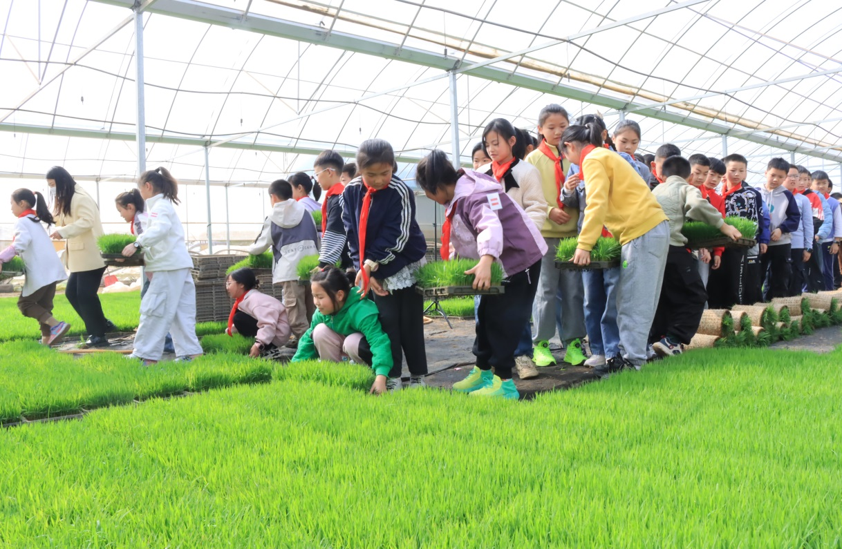 1776254836739967.png 图片2.png